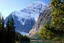 天涯重庆论坛情感